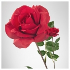 СМИККА Цветок искусственный, роза, красный