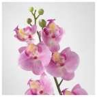 СМИККА Цветок искусственный, Орхидея, розовый
