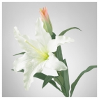 СМИККА Цветок искусственный, лилия, белый