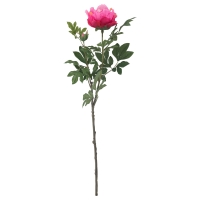 СМИККА Цветок искусственный, Пион, темно-розовый