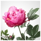 СМИККА Цветок искусственный, Пион, темно-розовый