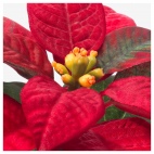 ВИНТЕРФЕСТ Искусственное растение и кашпо, "Рождественская звезда" красный, 6 см