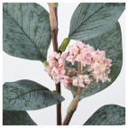 СМИККА Цветок искусственный, эвкалипт розовый, розовый, 30 см