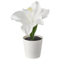 ВИНТЕРФЕСТ Искусственное растение и кашпо, Амариллис белый, 6 см
