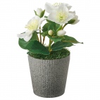 ВИНТЕРФЕСТ Искусственное растение и кашпо, рождественская роза белый, 10 см