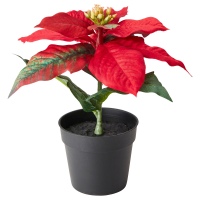 ВИНТЕРФЕСТ Искусственное растение в горшке, "Рождественская звезда" красный, 9 см