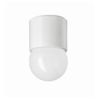 RAKSTA светильник светодиодный потолочный / настенный, белый